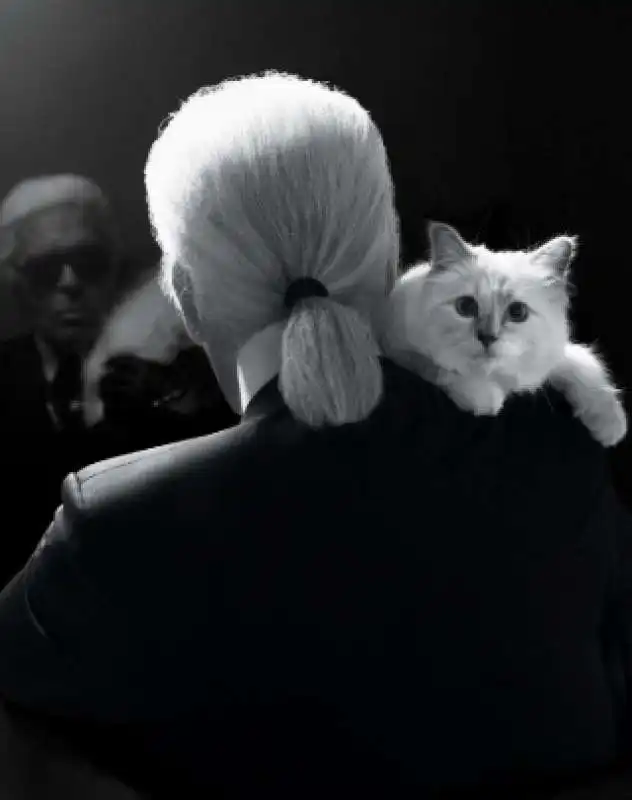 choupette e karl lagerfeld 7