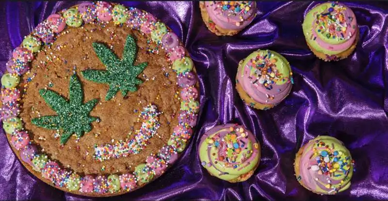 feelz by chloe   biscotti per cani alla cannabis 1