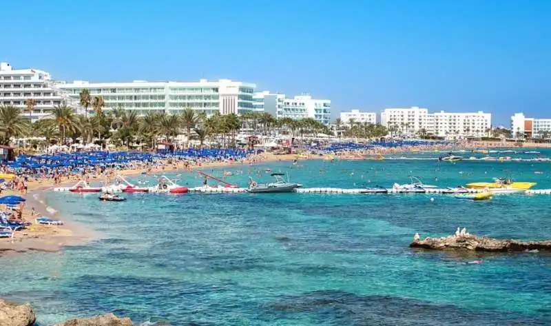 fig tree bay 