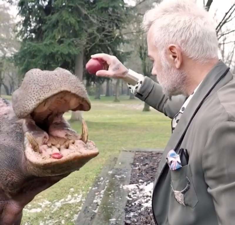 GIANLUCA VACCHI E L IPPOPOTAMO