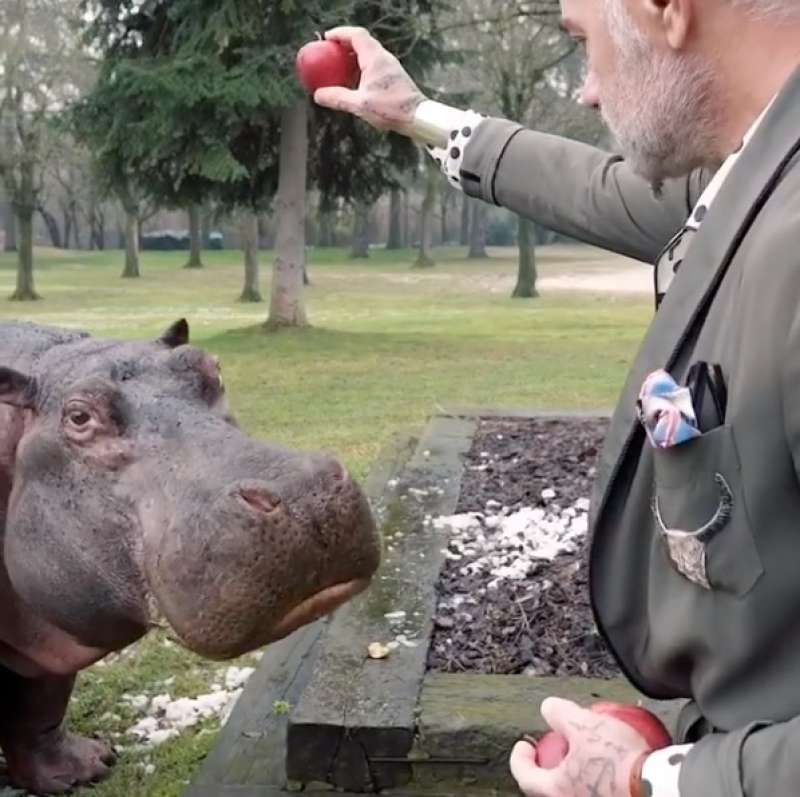 GIANLUCA VACCHI E L IPPOPOTAMO