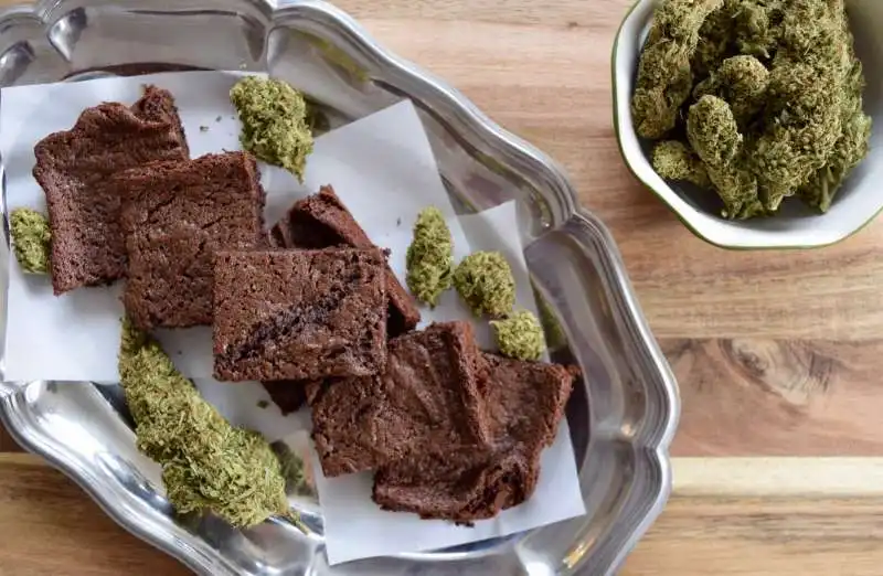 pot brownie   dolcetto alla marijuana 2