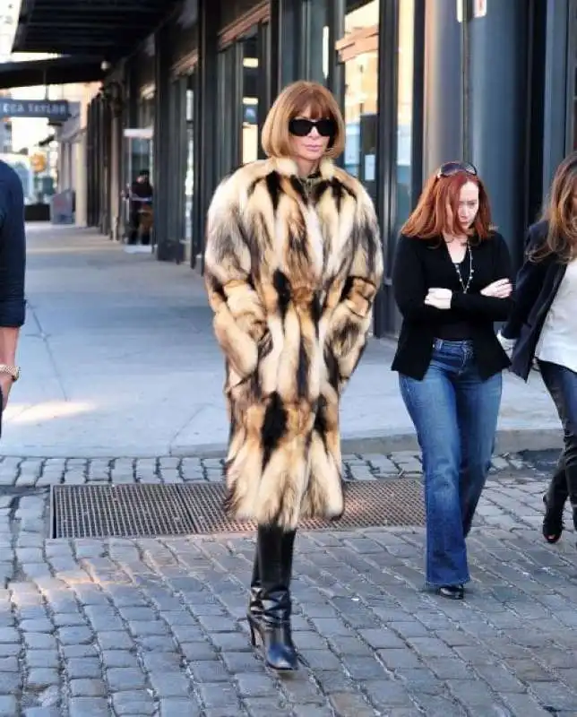 anna wintour  8