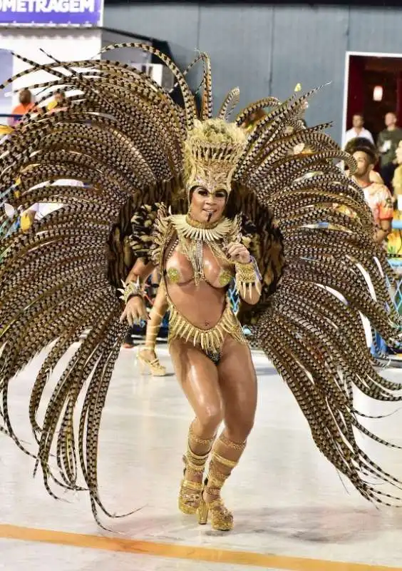 carnevale di rio de janeiro 15