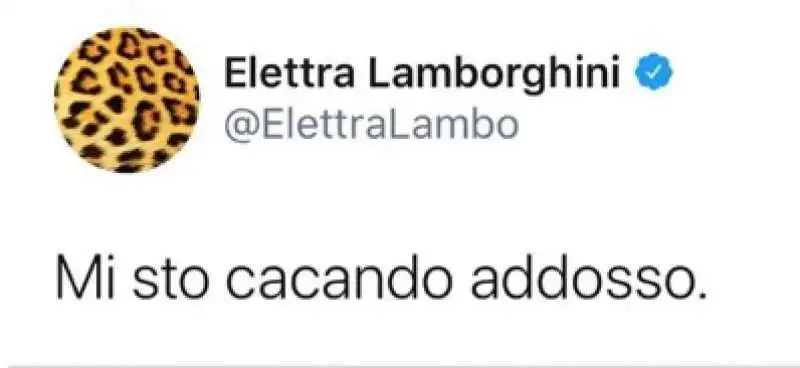 elettra lamborghini 3