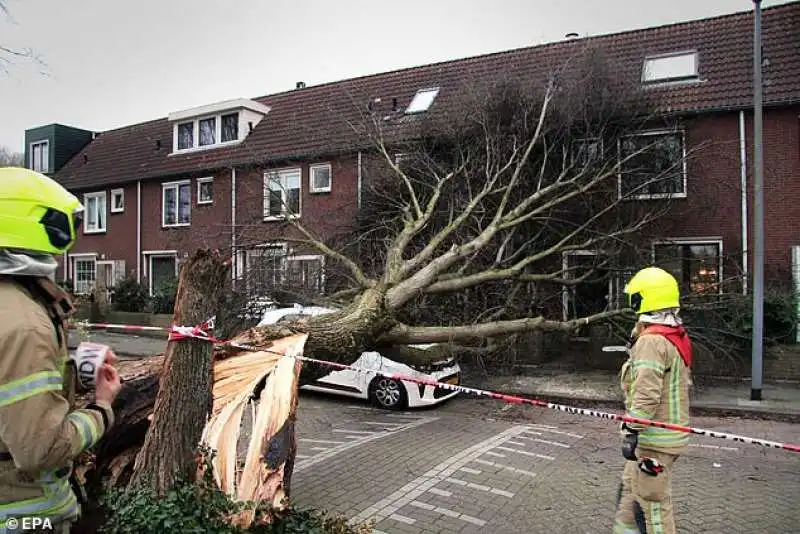 gli effetti della tempesta ciara