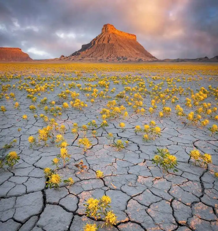  international landscape photographer of the year 6