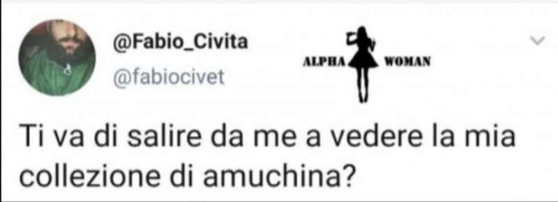 meme sull'amuchina e il coronavirus