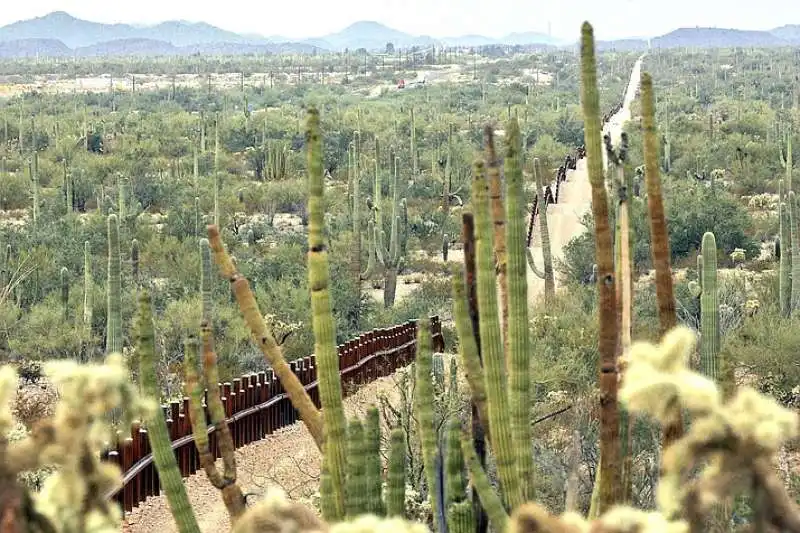 organ pipe cactus national monument 1