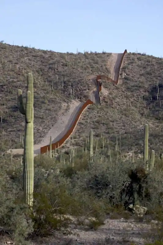 organ pipe cactus national monument 2