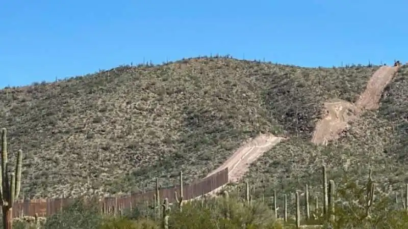 organ pipe cactus national monument 4