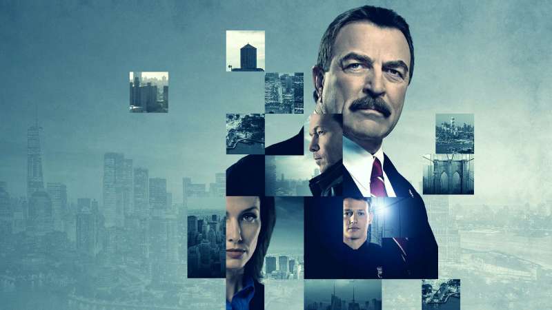 blue bloods 2