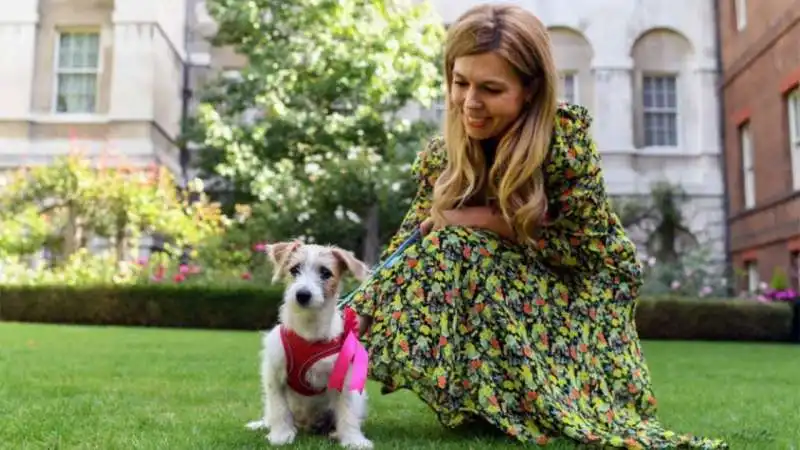 carrie symonds e il cane dilyn 3