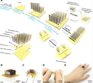 corpo umano per ricaricare batterie 3