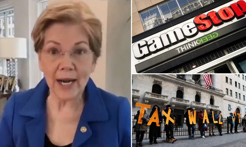 elizabeth warren gamestop