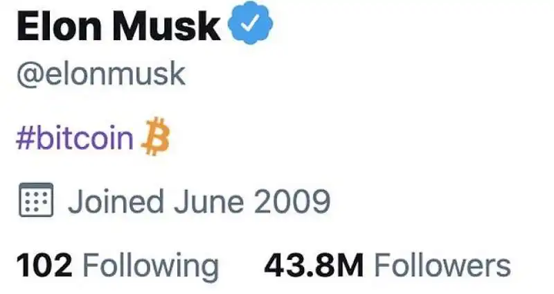 elon musk mette bitcoin nella bio twitter 