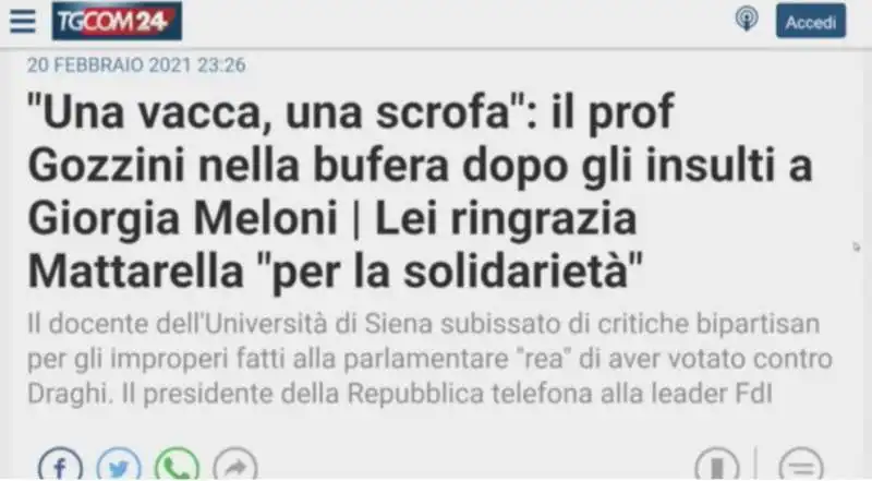 gli insulti a giorgia meloni di gozzini