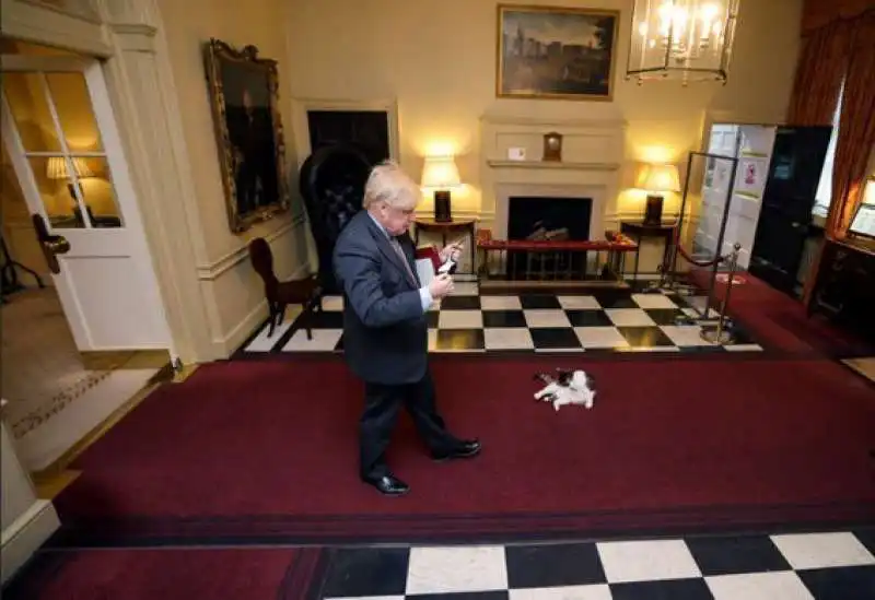 larry the cat e boris johnson 1