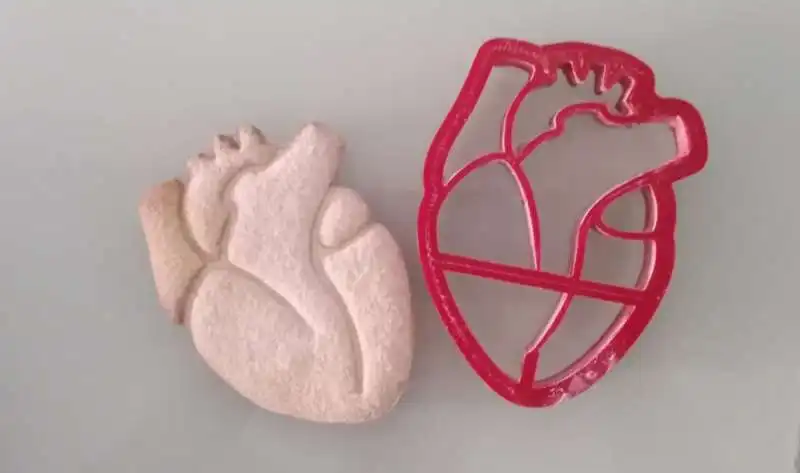 san valentino biscotto cuore anatomico