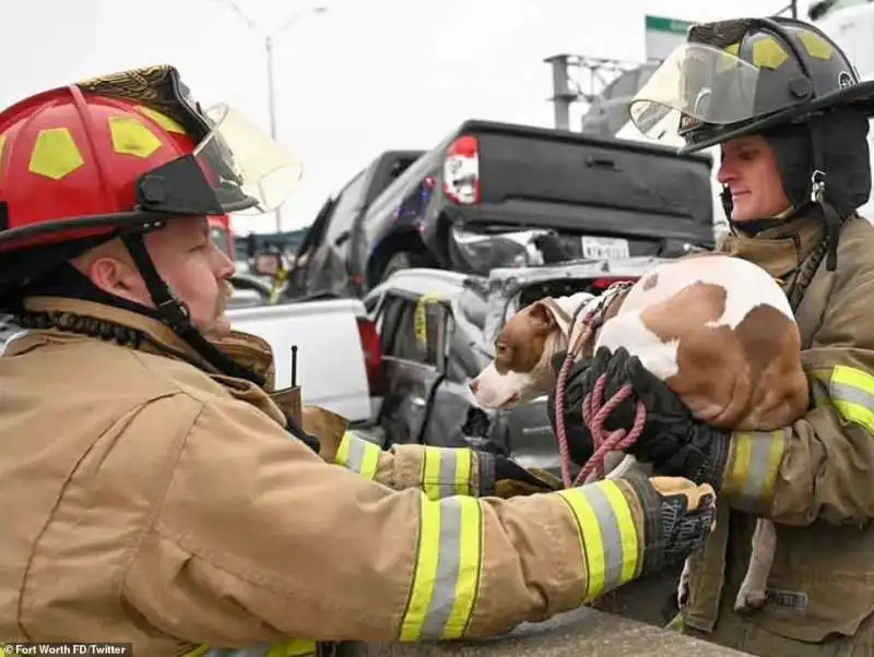 tamponamento incidente texas 7