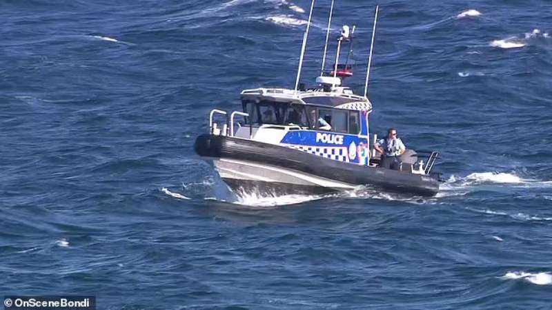 Attacco mortale dello squalo a Sydney 2