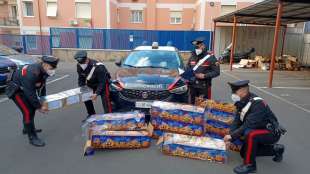 fuochi D artificio sequestrati CARCERE CIVITAVECCHIA