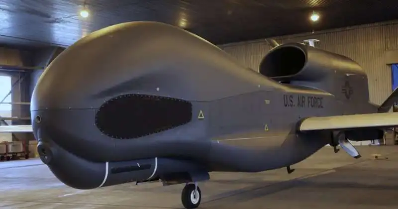 global hawk         