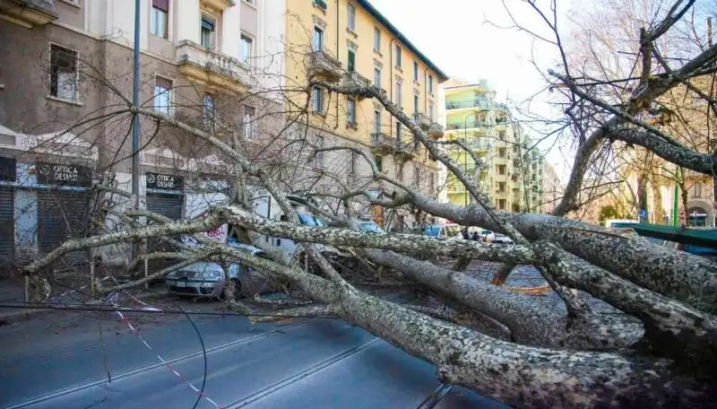 i danni del vento a milano 1