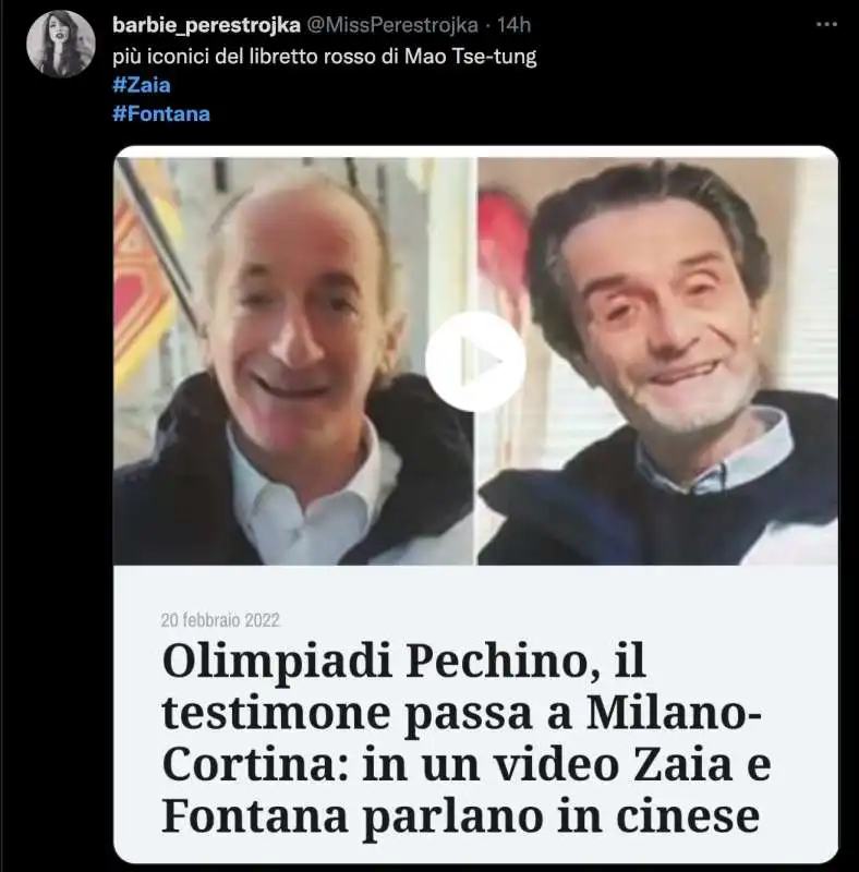 luca zaia e attilio fontanna parlano cinese   tweet   8