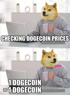 meme dogecoin 1