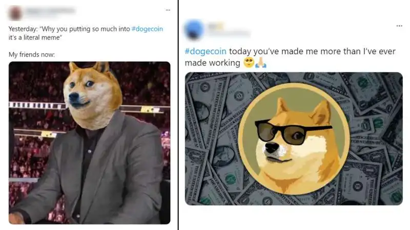 meme dogecoin 13