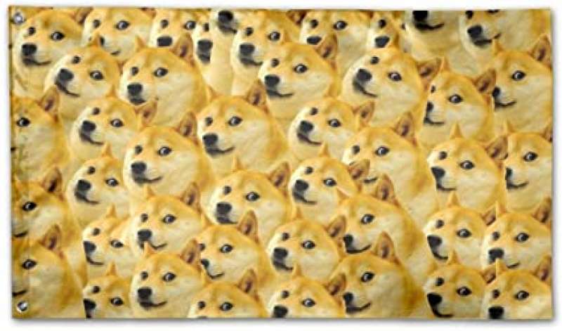 meme dogecoin 14