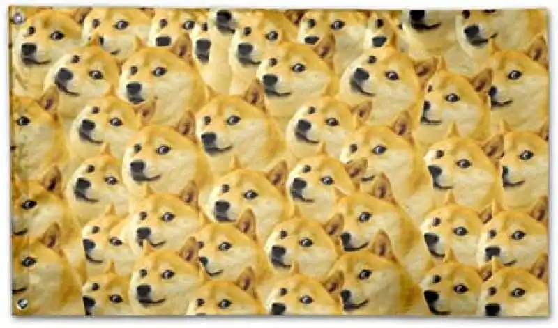 meme dogecoin 14