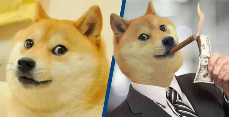 meme dogecoin 15