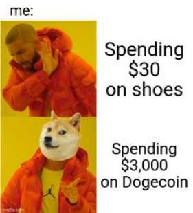 meme dogecoin 16