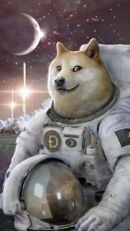 meme dogecoin 17