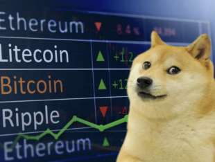 meme dogecoin 9