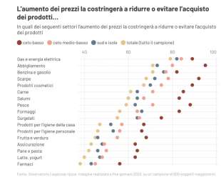 PRODOTTI CHE GLI ITALIANI NON COMPRERANNO PER L'AUMENTO DEI PREZZI