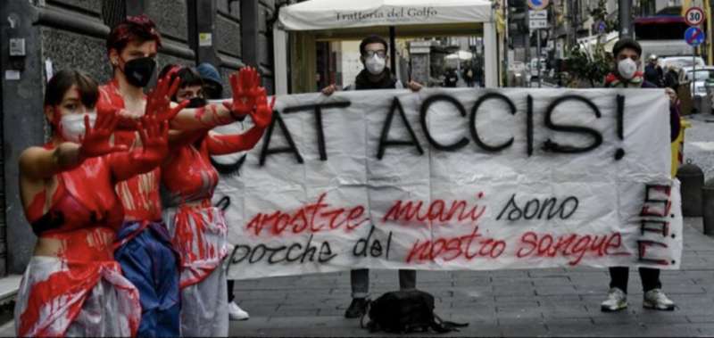 protesta degli studenti a napoli 1