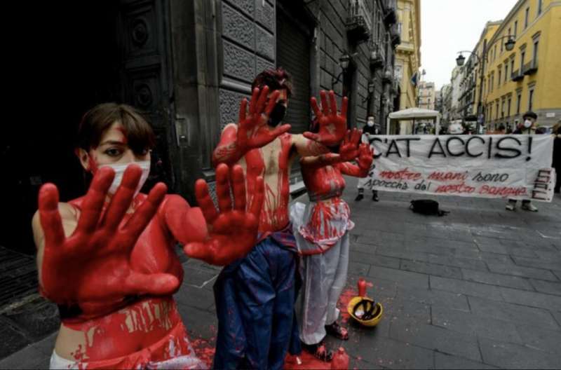 protesta degli studenti a napoli 4