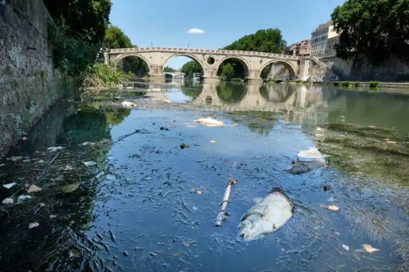 tevere 3