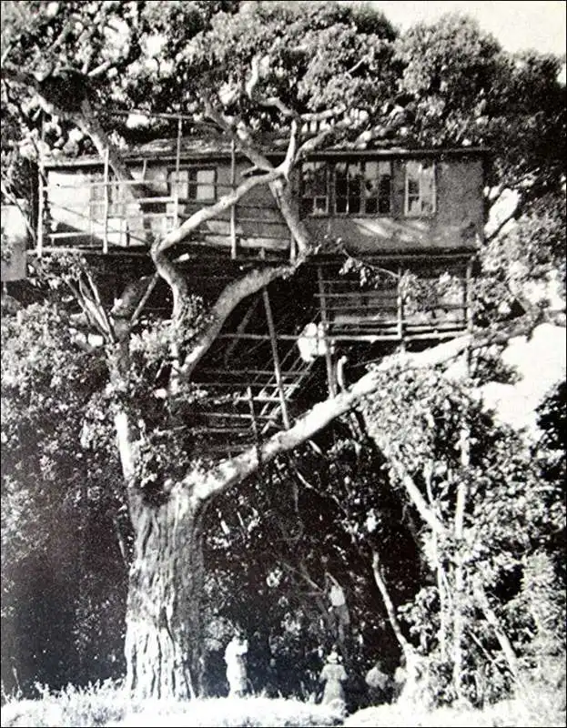 treetops hotel in kenya