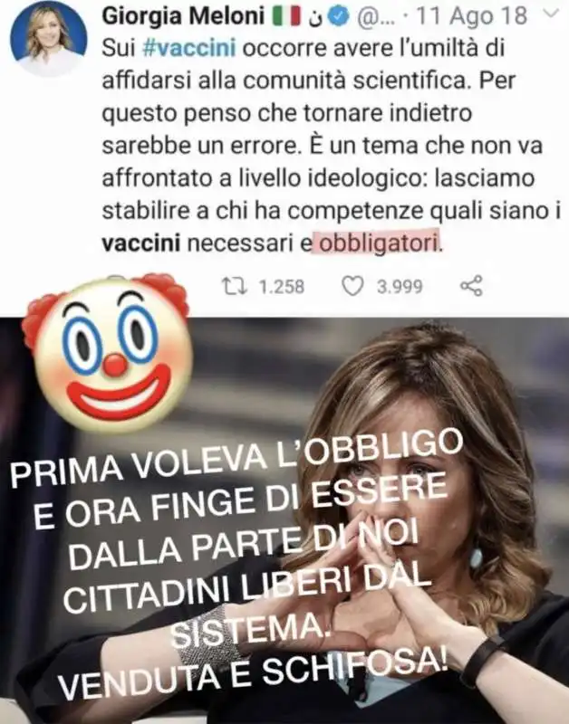 troll leghisti contro la meloni 