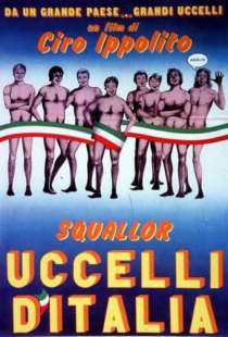 uccelli ditalia 2