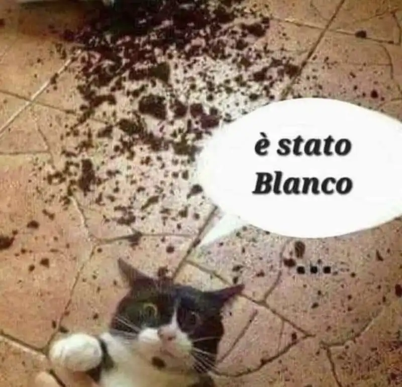 BLANCO A SANREMO - MEME