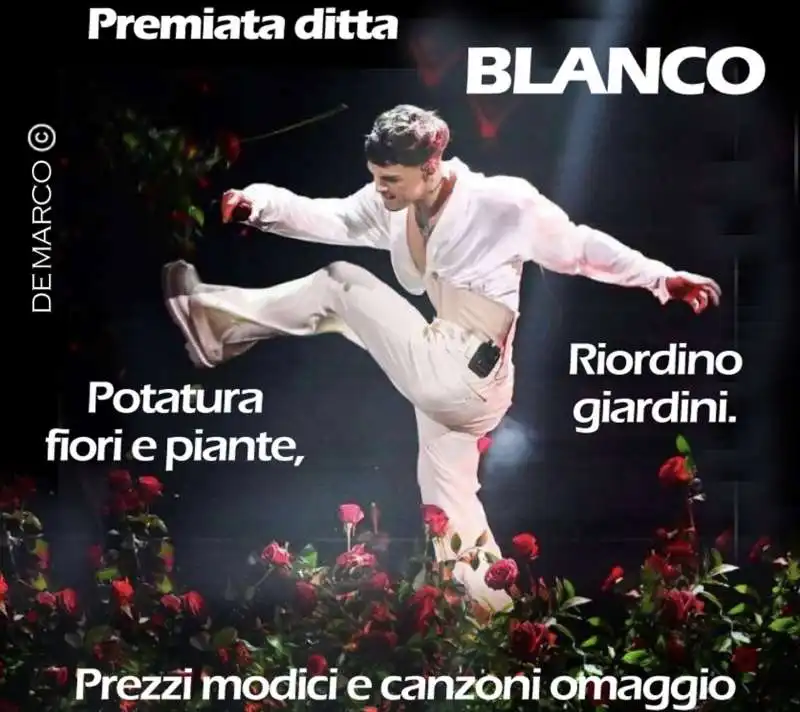 BLANCO CHE DISTRUGGE TUTTO A SANREMO - MEME BY DEMARCO 