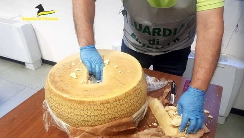 cocaina nascosta nelle forme di parmigiano 1