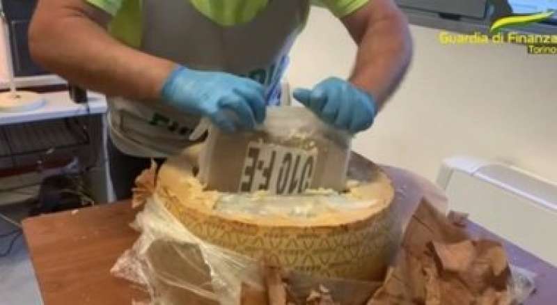 cocaina nascosta nelle forme di parmigiano