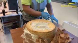 cocaina nascosta nelle forme di parmigiano 3