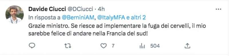 COMMENTO AL TWEET DI ANNA MARIA BERNINI SUI CERVELLI IN FUGA